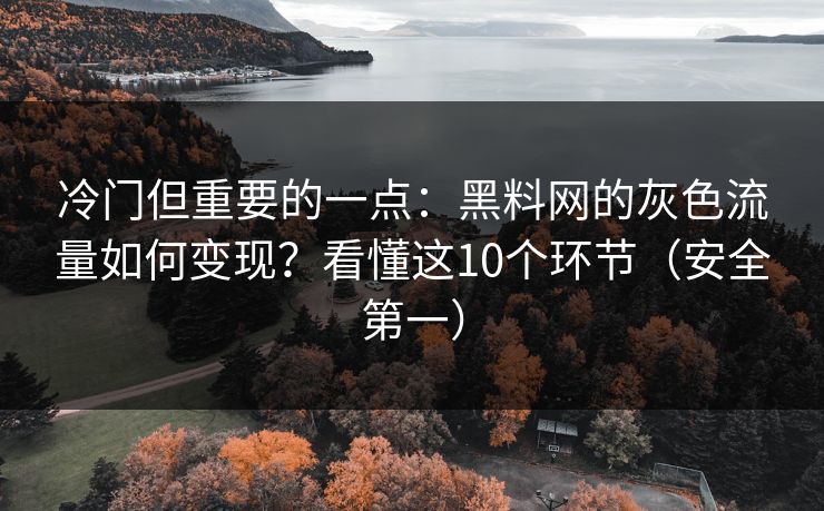 冷门但重要的一点：黑料网的灰色流量如何变现？看懂这10个环节（安全第一）