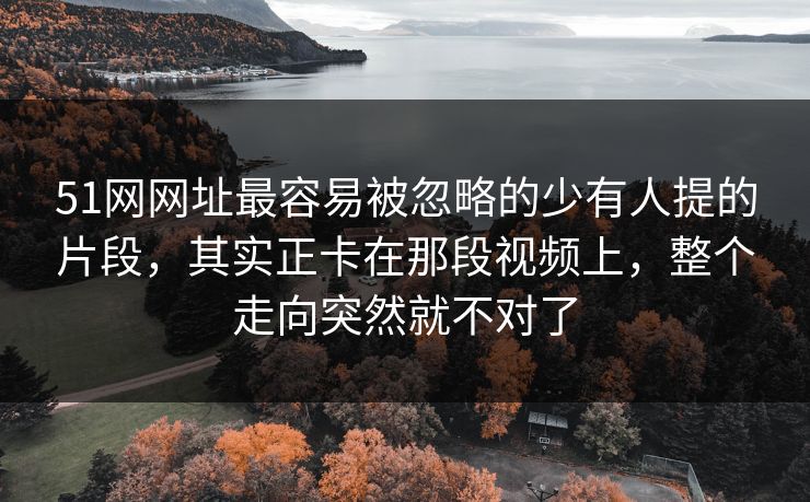 51网网址最容易被忽略的少有人提的片段，其实正卡在那段视频上，整个走向突然就不对了
